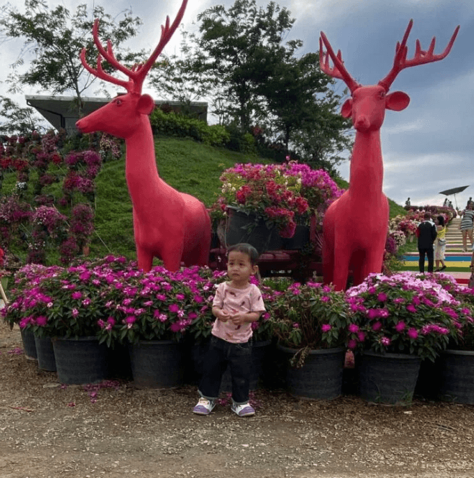 A toddler boy in a pink shirt looks apprehensive while standing in front of two massive red deer statues and purple flowers at Angkor Wonder Garden.