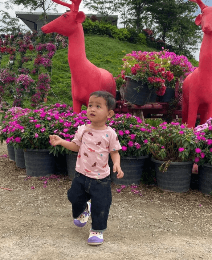 A toddler boy in a pink whale shirt runs happily on a gravel path, ignoring the expensive flower displays and statues behind him.