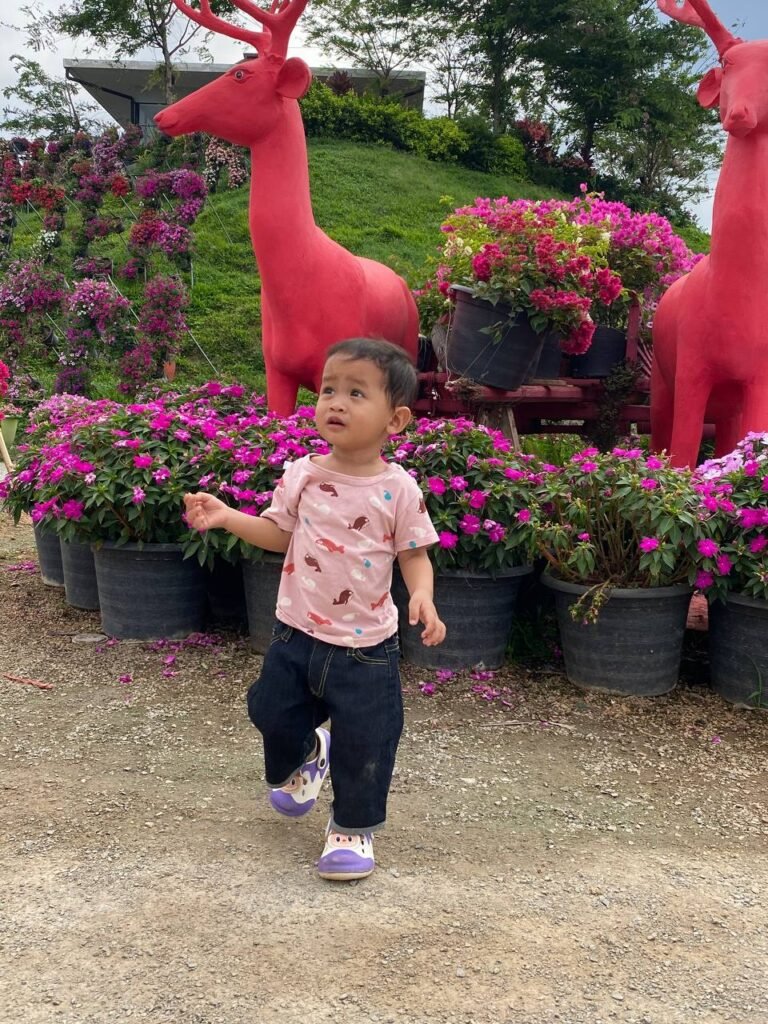 Happy toddler running on a dirt and gravel path next to landscaped purple flowers.