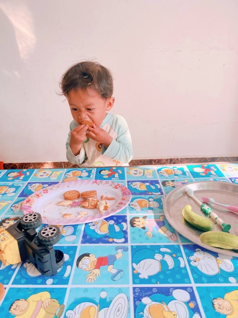 Young toddler sitting at a table eating a biscuit, distracted and calm.