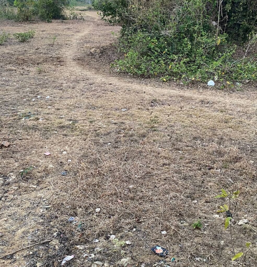 A dry, overgrown dirt path splitting into two directions in the Cambodian countryside.