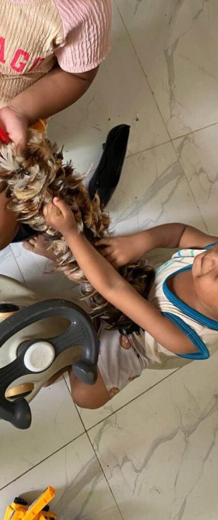 A two-year-old toddler forcefully grabbing a brown feather duster from an older sibling to start cleaning.