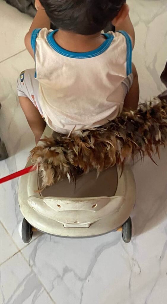 A toddler seen from behind riding a small white toy car with a battered feather duster tucked behind his back.